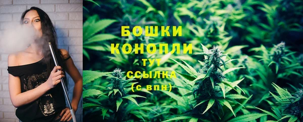 mix Богородицк