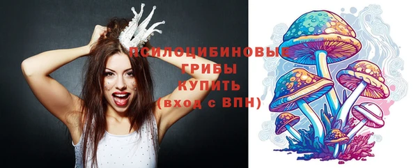 mix Богородицк