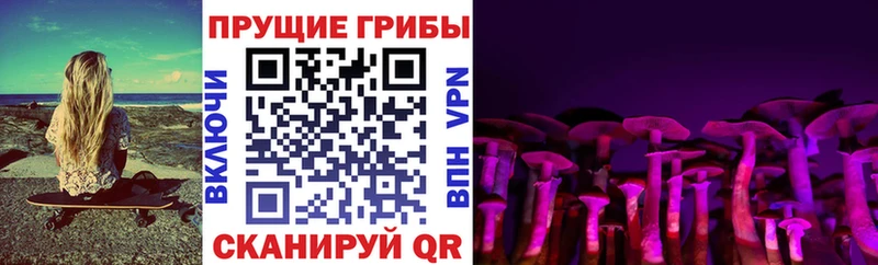 Псилоцибиновые грибы Magic Shrooms  Черногорск 